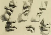 An illustration from La prima-[quinta] parte della luce del dipingere et disegnare, ... (1643)