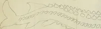 Picture 299 of 311 from La prima-[quinta] parte della luce del dipingere et disegnare, ... (1643), leaf 432