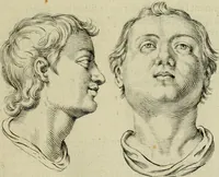 An illustration from La prima-[quinta] parte della luce del dipingere et disegnare, ... (1643)