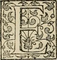 An illustration from La prima-[quinta] parte della luce del dipingere et disegnare, ... (1643)