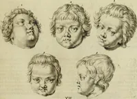 An illustration from La prima-[quinta] parte della luce del dipingere et disegnare, ... (1643)
