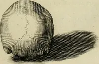 An illustration from La prima-[quinta] parte della luce del dipingere et disegnare, ... (1643)