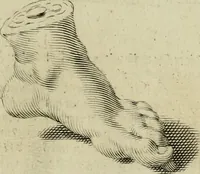 An illustration from La prima-[quinta] parte della luce del dipingere et disegnare, ... (1643)