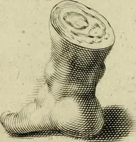 An illustration from La prima-[quinta] parte della luce del dipingere et disegnare, ... (1643)