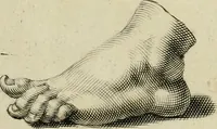 An illustration from La prima-[quinta] parte della luce del dipingere et disegnare, ... (1643)