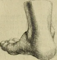 An illustration from La prima-[quinta] parte della luce del dipingere et disegnare, ... (1643)
