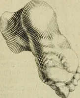 Picture 64 of 311 from La prima-[quinta] parte della luce del dipingere et disegnare, ... (1643), leaf 58