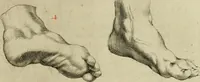 An illustration from La prima-[quinta] parte della luce del dipingere et disegnare, ... (1643)
