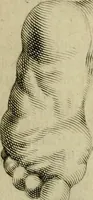 An illustration from La prima-[quinta] parte della luce del dipingere et disegnare, ... (1643)