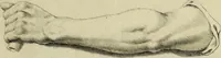 An illustration from La prima-[quinta] parte della luce del dipingere et disegnare, ... (1643)