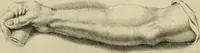 An illustration from La prima-[quinta] parte della luce del dipingere et disegnare, ... (1643)