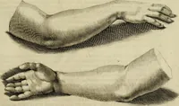 An illustration from La prima-[quinta] parte della luce del dipingere et disegnare, ... (1643)
