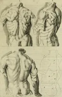 An illustration from La prima-[quinta] parte della luce del dipingere et disegnare, ... (1643)