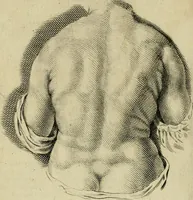 An illustration from La prima-[quinta] parte della luce del dipingere et disegnare, ... (1643)