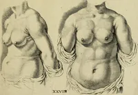 An illustration from La prima-[quinta] parte della luce del dipingere et disegnare, ... (1643)
