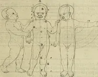 An illustration from La prima-[quinta] parte della luce del dipingere et disegnare, ... (1643)