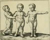 An illustration from La prima-[quinta] parte della luce del dipingere et disegnare, ... (1643)