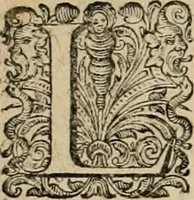 An illustration from La prima-[quinta] parte della luce del dipingere et disegnare, ... (1643)