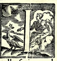 An illustration from La principessa Silandra : tragedia (1621)