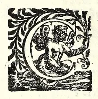 An illustration from La principessa Silandra : tragedia (1621)
