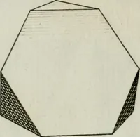 An illustration from La prospettiva pratica : delineata in tavole a norma della seconda regola (1744)