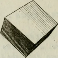 An illustration from La prospettiva pratica : delineata in tavole a norma della seconda regola (1744)