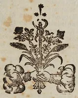 An illustration from La psiche (1651)
