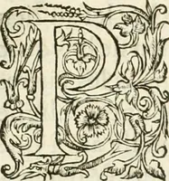 Picture 67 of 352 from L'architecture de Philibert de l'Orme, cõseillier & aumosnier ordinaire du roy, & abbé de S. Serge lez Angiers (1576), leaf 138