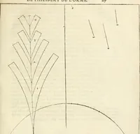 Picture 130 of 352 from L'architecture de Philibert de l'Orme, cõseillier & aumosnier ordinaire du roy, & abbé de S. Serge lez Angiers (1576), leaf 260