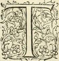 Picture 155 of 352 from L'architecture de Philibert de l'Orme, cõseillier & aumosnier ordinaire du roy, & abbé de S. Serge lez Angiers (1576), leaf 306