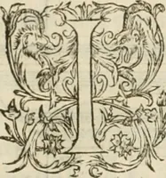 An illustration from L'architecture de Philibert de l'Orme, cõseillier & aumosnier ordinaire du roy, & abbé de S. Serge lez Angiers (1576)