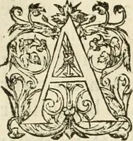 An illustration from L'architecture de Philibert de l'Orme, cõseillier & aumosnier ordinaire du roy, & abbé de S. Serge lez Angiers (1576)