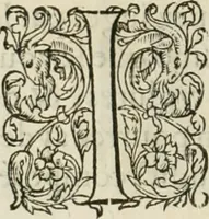 Picture 190 of 352 from L'architecture de Philibert de l'Orme, cõseillier & aumosnier ordinaire du roy, & abbé de S. Serge lez Angiers (1576), leaf 359