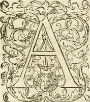 Picture 234 of 352 from L'architecture de Philibert de l'Orme, cõseillier & aumosnier ordinaire du roy, & abbé de S. Serge lez Angiers (1576), leaf 428