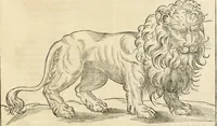 An illustration from L'architecture de Philibert de l'Orme, cõseillier & aumosnier ordinaire du roy, & abbé de S. Serge lez Angiers (1576)