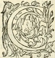 An illustration from L'architecture de Philibert de l'Orme, cõseillier & aumosnier ordinaire du roy, & abbé de S. Serge lez Angiers (1576)