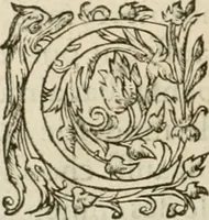 Picture 21 of 352 from L'architecture de Philibert de l'Orme, cõseillier & aumosnier ordinaire du roy, & abbé de S. Serge lez Angiers (1576), leaf 49