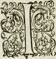 Picture 288 of 352 from L'architecture de Philibert de l'Orme, cõseillier & aumosnier ordinaire du roy, & abbé de S. Serge lez Angiers (1576), leaf 491