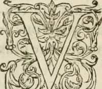 Picture 294 of 352 from L'architecture de Philibert de l'Orme, cõseillier & aumosnier ordinaire du roy, & abbé de S. Serge lez Angiers (1576), leaf 499