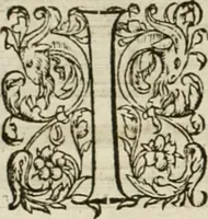 Picture 302 of 352 from L'architecture de Philibert de l'Orme, cõseillier & aumosnier ordinaire du roy, & abbé de S. Serge lez Angiers (1576), leaf 509