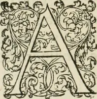 Picture 316 of 352 from L'architecture de Philibert de l'Orme, cõseillier & aumosnier ordinaire du roy, & abbé de S. Serge lez Angiers (1576), leaf 531