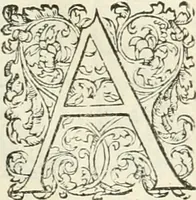 Picture 322 of 352 from L'architecture de Philibert de l'Orme, cõseillier & aumosnier ordinaire du roy, & abbé de S. Serge lez Angiers (1576), leaf 538