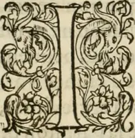 An illustration from L'architecture de Philibert de l'Orme, cõseillier & aumosnier ordinaire du roy, & abbé de S. Serge lez Angiers (1576)