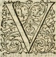 Picture 31 of 352 from L'architecture de Philibert de l'Orme, cõseillier & aumosnier ordinaire du roy, & abbé de S. Serge lez Angiers (1576), leaf 67