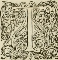 Picture 36 of 352 from L'architecture de Philibert de l'Orme, cõseillier & aumosnier ordinaire du roy, & abbé de S. Serge lez Angiers (1576), leaf 81