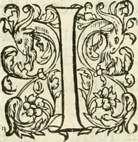 An illustration from L'architecture de Philibert de l'Orme, cõseillier & aumosnier ordinaire du roy, & abbé de S. Serge lez Angiers (1576)