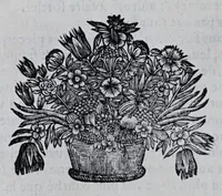 An illustration from L'architecture militaire, ou, La fortification nouuelle : augmentée et enrichie de forteresses regulieres, irregulieres, et de dehors : le tout a la practique moderne (1668)