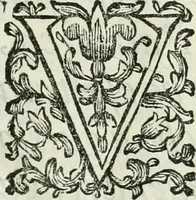 An illustration from L'architetto prattico : in cui con facilta si danno le regole per apprendere l'architettura civile (1726)