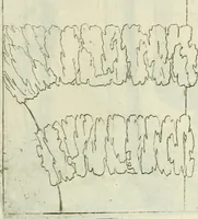 An illustration from L'architetto prattico : in cui con facilta si danno le regole per apprendere l'architettura civile (1726)