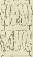 An illustration from L'architetto prattico : in cui con facilta si danno le regole per apprendere l'architettura civile (1726)